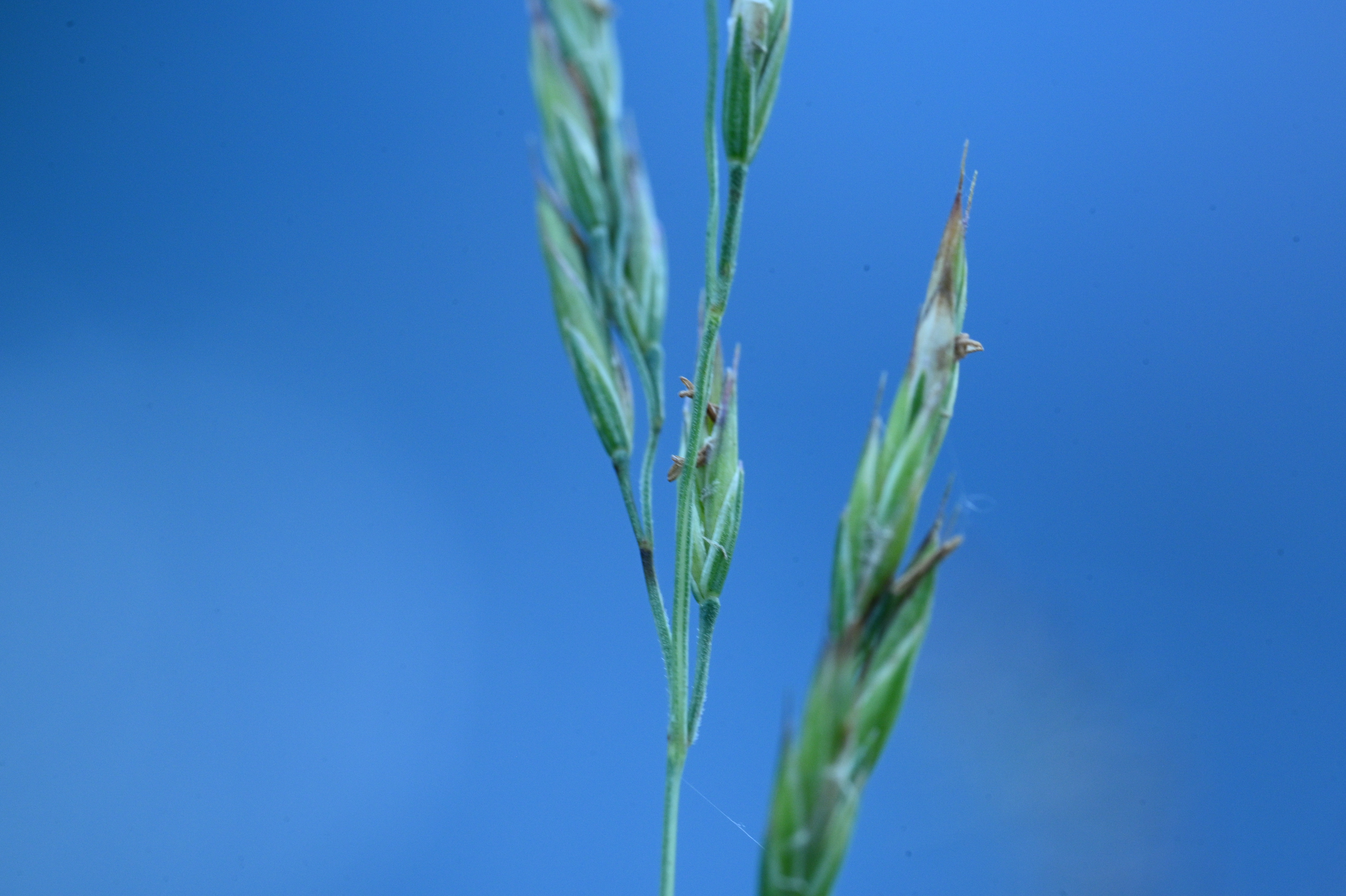 2025/07/09-14 - trip/DSC_0074.JPG